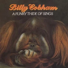 CD A FUNKY THIDE OF SINGS