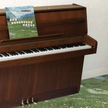 CD SOPHTWARE SLUMP ..... ON A WOODEN PIANO