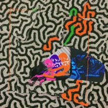 CD TANGERINE REEF