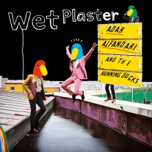 Vinyl 7-WET PLASTER