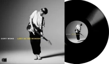 Vinyl Lost In The Wonder Ltd.