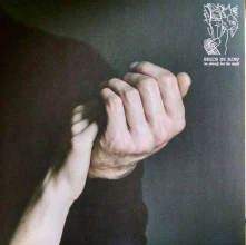 Birds in Row, Vinyl WE ALREADY LOST THE WORLD