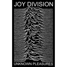 Plagát Unknown Pleasures