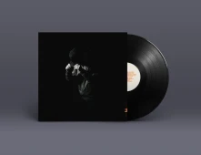 Vinyl LIGHT OF DAY