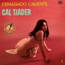 Vinyl DEMASIADO CALIENTE