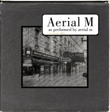 Vinyl AERIAL M