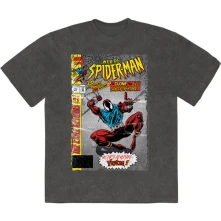 Web Of Spider-Man thumbnail