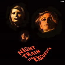 Vinyl NIGHT TRAIN