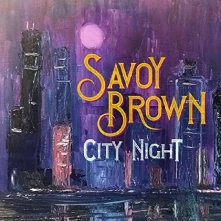 Vinyl CITY NIGHT