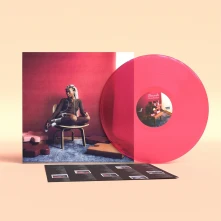 Vinyl DESCRIBE