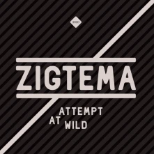 Ž.A.S., CD ATTEMPT AT WILD