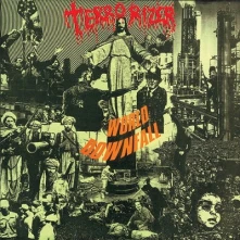 Terrorizer, CD WORLD DOWNFALL
