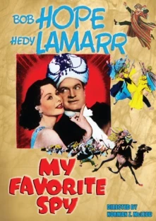 DVD MY FAVORITE SPY