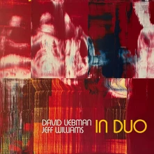 Vinyl IN DUO