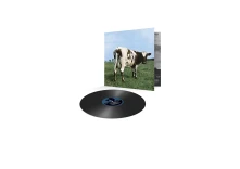 Vinyl Atom Heart Mother
