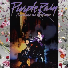 CD And The Revolution - Purple Rain