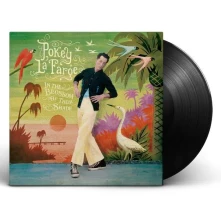 Vinyl IN THE BLOSSOM OF THEIR SHADE