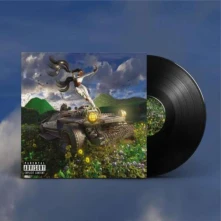 Vinyl LAST YEAR WAS WEIRD VOLUME. 3