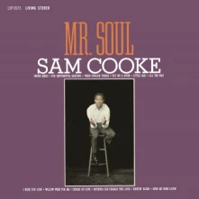 Vinyl Mr. Soul
