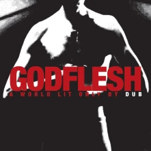 CD A WORLD LIT ONLY BY DUB
