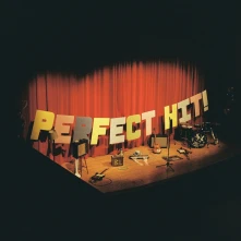 Vinyl PERFECT HIT!