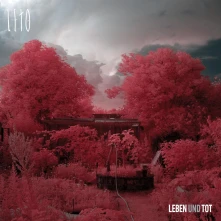 Leto, Vinyl LETO