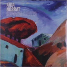 Vinyl COMMON ROUTES