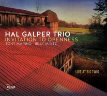 CD INVITATION TO OPENNESS: LIVE AT BIG TWIG