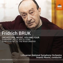 CD BRUK: ORCHESTRAL MUSIC...