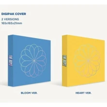 CD Bloom Bloom