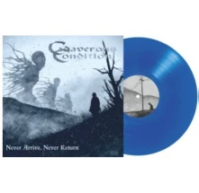 Vinyl NEVER ARRIVE, NEVER RE...