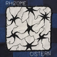 Vinyl RHIZOME