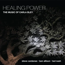 CD CARDENAS, STEVE / BEN ALL - HEALING POWER: THE MUSIC OF CARLA BLEY