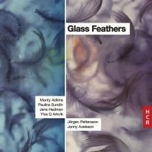 CD GLASS FEATHERS