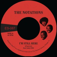 Vinyl Notations - 7-I'm Still Here