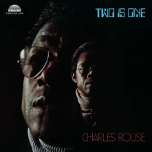 Vinyl TWO IS ONE