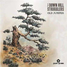 Vinyl Down Hill Strugglers - Old Juniper