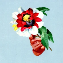 CD MARIBOU STATE - KINGDOMS IN COLOUR