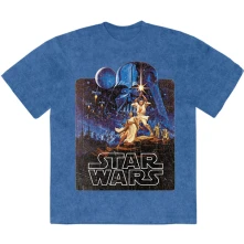 Luke & Leia Pose thumbnail