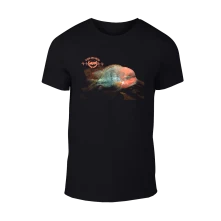 Fenestratus thumbnail