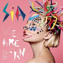 Vinyl We Are Born