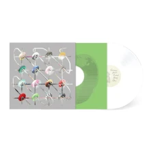 Vinyl BITKNOT