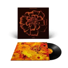 Vinyl ALL SOULS