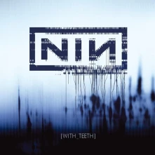 Nine Inch Nails, Vinyl WITH TEETH