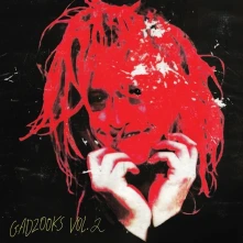 Vinyl GADZOOKS VOL. 2