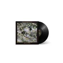Phosphorescent, Vinyl REVELATOR