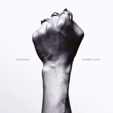 Vinyl ADORE LIFE