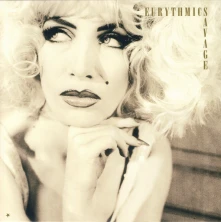 Eurythmics, Vinyl Savage