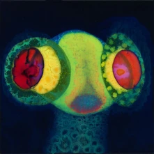 Osees, Vinyl SORCS 80