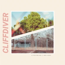 CLIFFDIVER, Vinyl AT YOUR OWN RISK